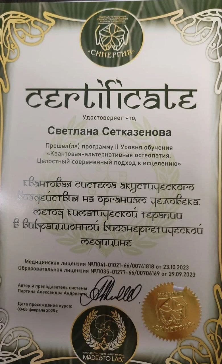 Диплом 8 · Сетказенова С.